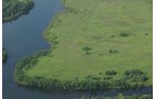 Property photo 37 - 1,025 Acres in 24 Tracts - Exellent Recreation Opportunity - Potential Building Sites - 11 Lakes & Ponds